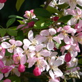 102_square