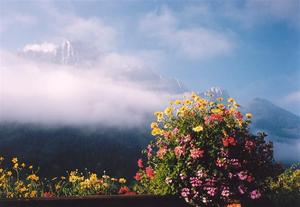 View of misty Rübli with bright flower pot