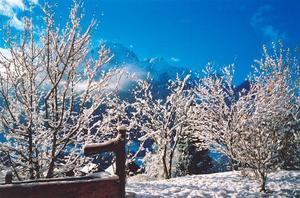 Crisp blue winter sky