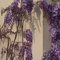 12_square
