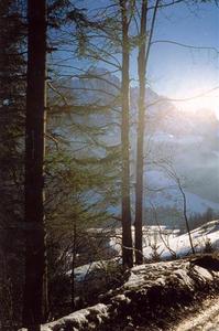 Videmanette surrounded by bright halo on a walk to Saanen