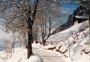 Walk to Saanen in Winter