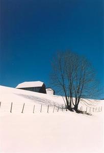 Thick snow cover contrasting deep blue sky