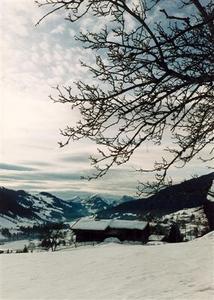 Snowy Rougemont valley, barn, branches on foreground, snow 