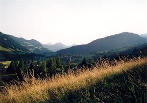 Meadow lit by the setting sun above Saanen