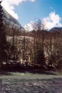 Gstaad stream, bare forest trees and Rubli