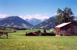 Farms and fields over Gstaad