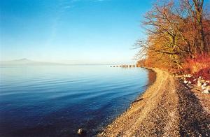 Bright orange trees and blue lake