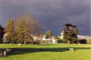 heavy grey cloud, sunny field and school, sheep,  interesting light