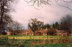 View of Centre in spring with daffodils, grey sky