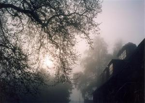 New art barn in misty sunrise