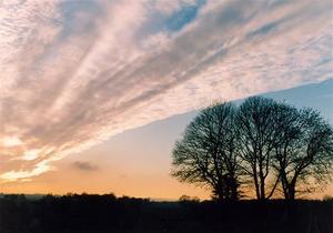 Sunset with diagonal cloud and trees