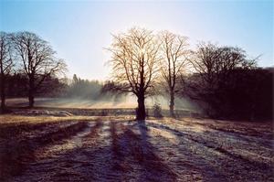 Sunrise behind frosty fields and trees [best album]