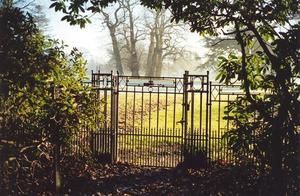 Grove gate and leaves against the light