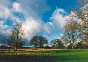 South field from centre