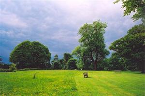 Bench on a half cut lawn