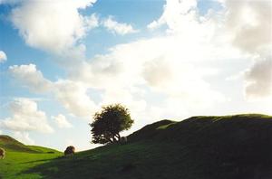 Green field and small round tree against light, sheep, cloudy blue sky