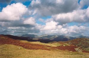 Foregrd of yellow grass and brown ferns on hills shadowed by heavy clouds over blue sky