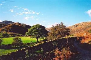 Colorful ldscape w stonewall, ferns and path in foregrd, sunny green field w  tree and red hills, clear sky