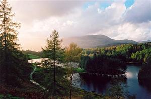 Lake surrounded by Forest and with island ,path along left side, pastelcolored bright cloudy sky