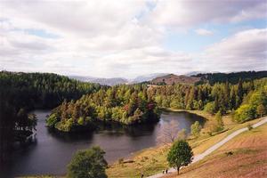 Lake surrounded by Forest and with island, path on right, pastel cloud sky