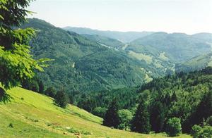 Black Forest wooded hills