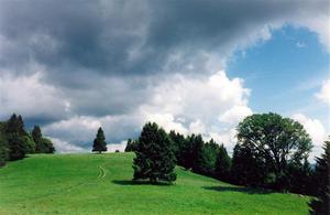 path on green wooded hill, clouds