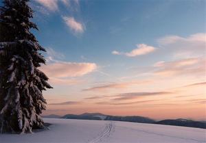 Pink and blue pastel sky over ski trail and tree