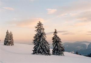 Pink and blue pastel sky over ski trail and trees  [best album]