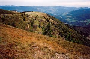 Top of Belchen