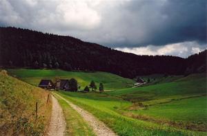 Path in farm land