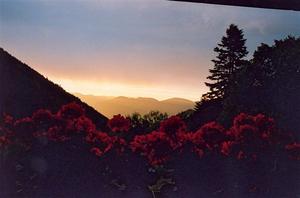 Geraniums on window + sunset view