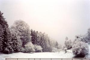 Snow covered field