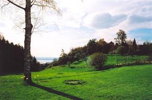 View of Lake Constanz from green field