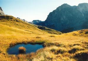 Marchy meadow near the Sulzhütte