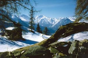 View of Bernese Alps from Riederalp