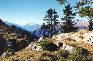 View of Pro Natura building and Matterhorn