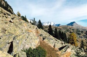 Rocky path towards Riederalp