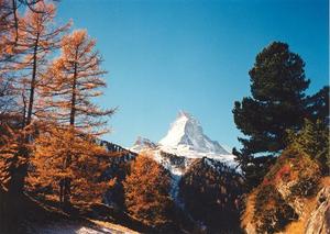 Matterhorn and trees