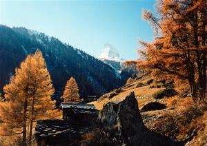 Matterhorn, larch trees and huts