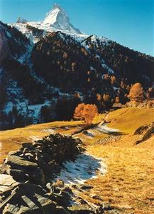 Matterhorn above stone wall and larch forest