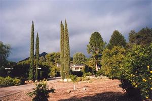 Pine Cottage entrance