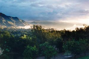 Lighted mist at sunrise, Trees in the Valley