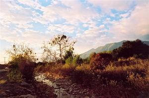 Small stream by the road, dry shrubs, mountian