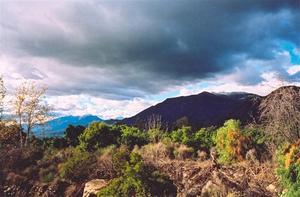 Dark clouds in blue sky, shrubs