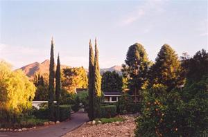 Pine cottage entrance before sunset