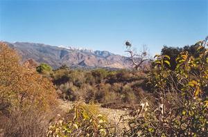 Dry shrubs and mountains