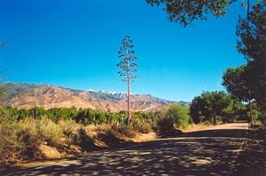 View of mountain from the road