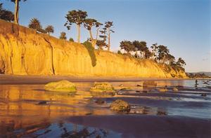 Bright yellow Cliff at sunset