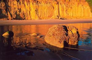 Close up of Rock on the beach, bright colours